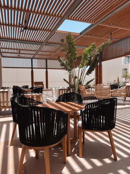 Gastro JAZ Elite Amara