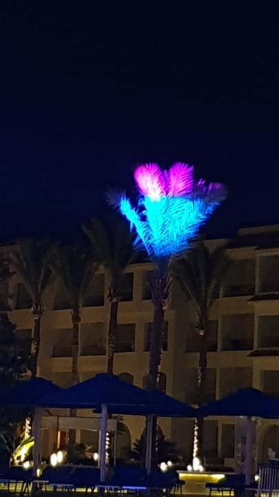 Sonstiges Pickalbatros Dana Beach Resort - Hurghada