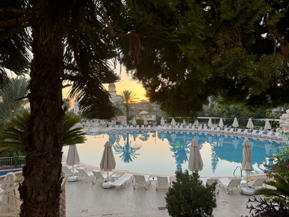Pool Seaden Corolla Hotel