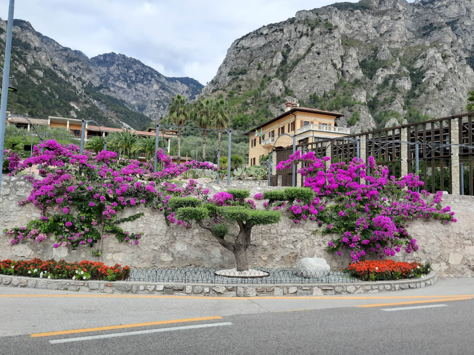 Außenansicht Hotel Caravel
