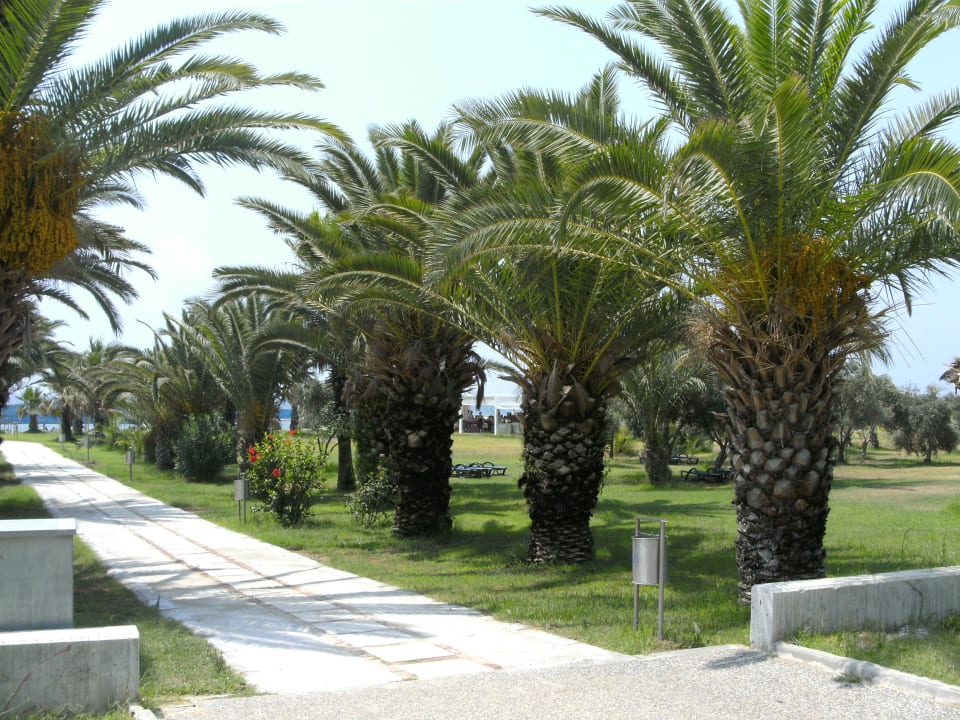 Strandpromenade Bella Resort & Spa