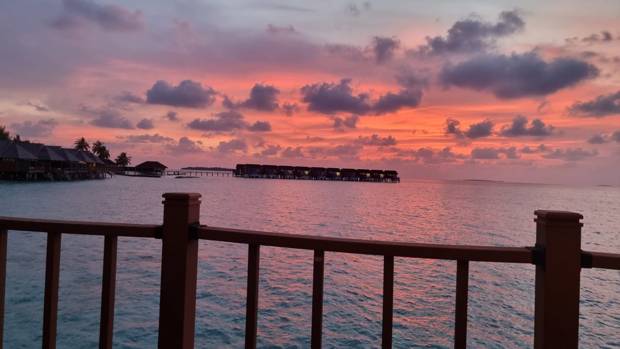 Ausblick Dhigufaru Island Resort