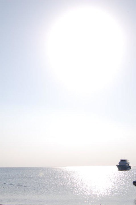 Sunshine Menaville Safaga