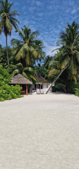 Zimmer Sun Siyam Vilu Reef