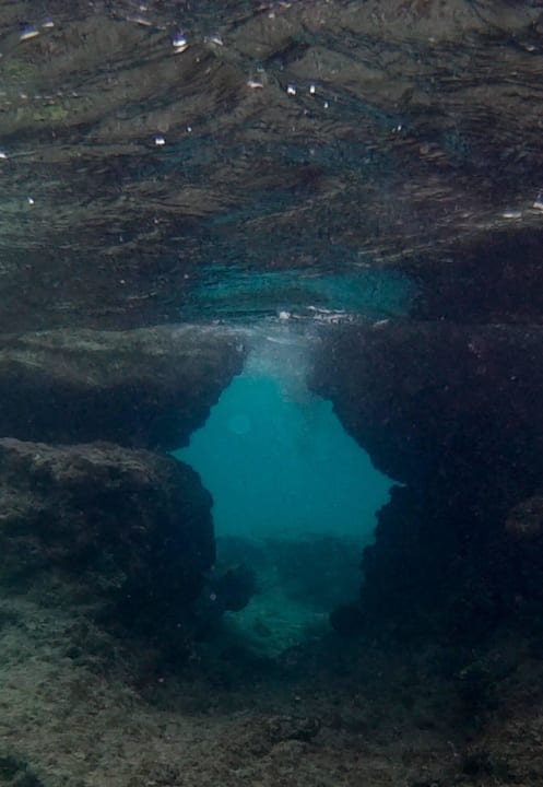 Unterwasserwelt vor Bungalow 366 Summer Island Maldives