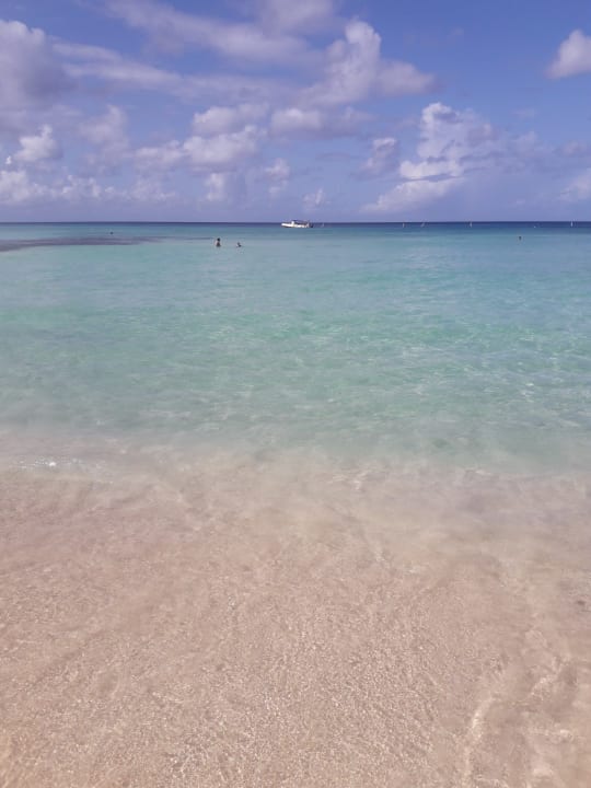 Strand Hotel Viva Dominicus Beach by Wyndham - All Inclusive Resort