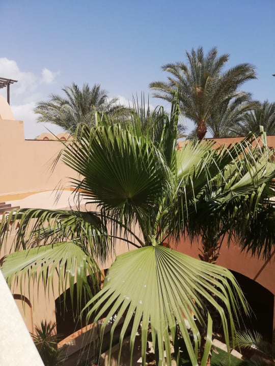 Gartenanlage Jaz Makadi Blue - TUI BLUE Makadi - Adults Friendly 16 Years Plus