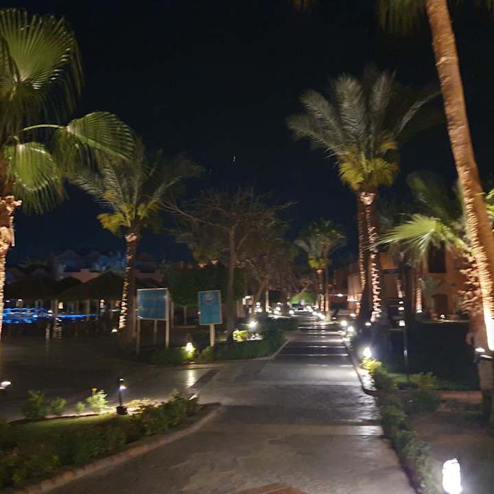 Gartenanlage Jaz Makadi Oasis Resort