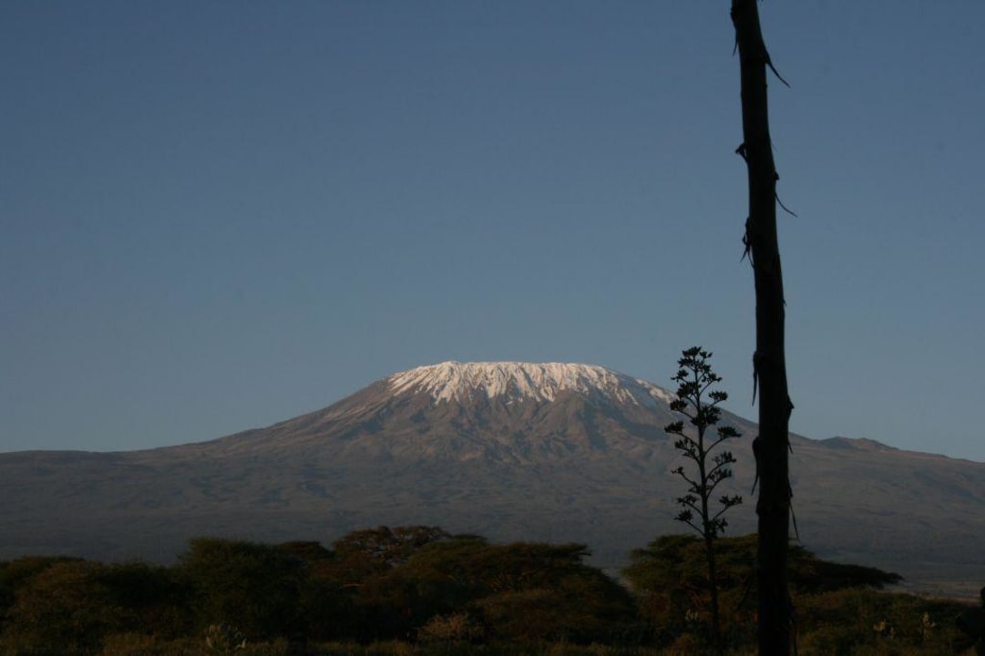 Aussicht von der Terrasse Hotel Amboseli Sopa Lodge