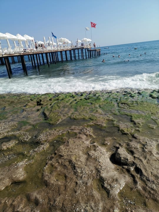 Strand Dizalya Palm Garden