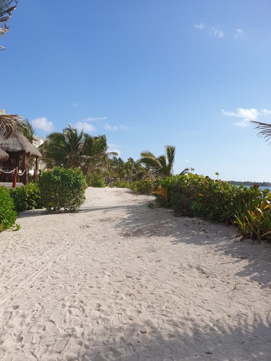 Ausblick Akumal Bay Beach & Wellness Resort