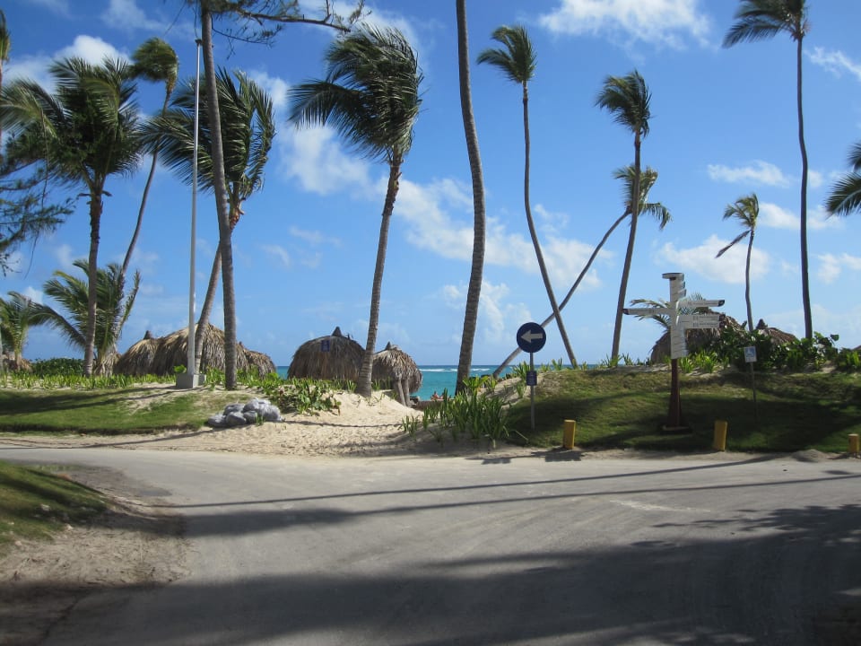 Gartenanlage Hotel Grand Palladium Palace Resort, Spa & Casino