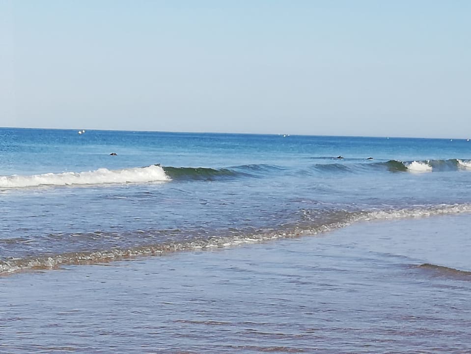 Strand Hotel Best Costa Ballena