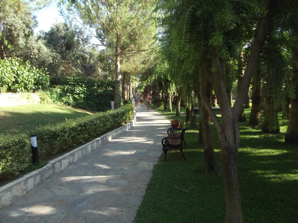 Der Weg zum Strand Miramare Queen Hotel