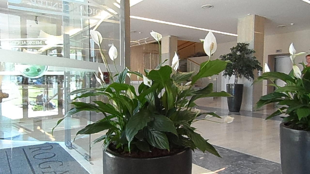 Холл лечебного корпуса Grand Hotel Rogaška Komfort