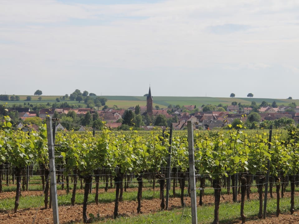 Gartenanlage Gästehaus No. 31 im Rosengarten