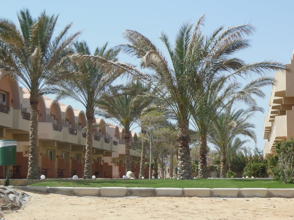 Zimmer Three Corners Sea Beach Resort