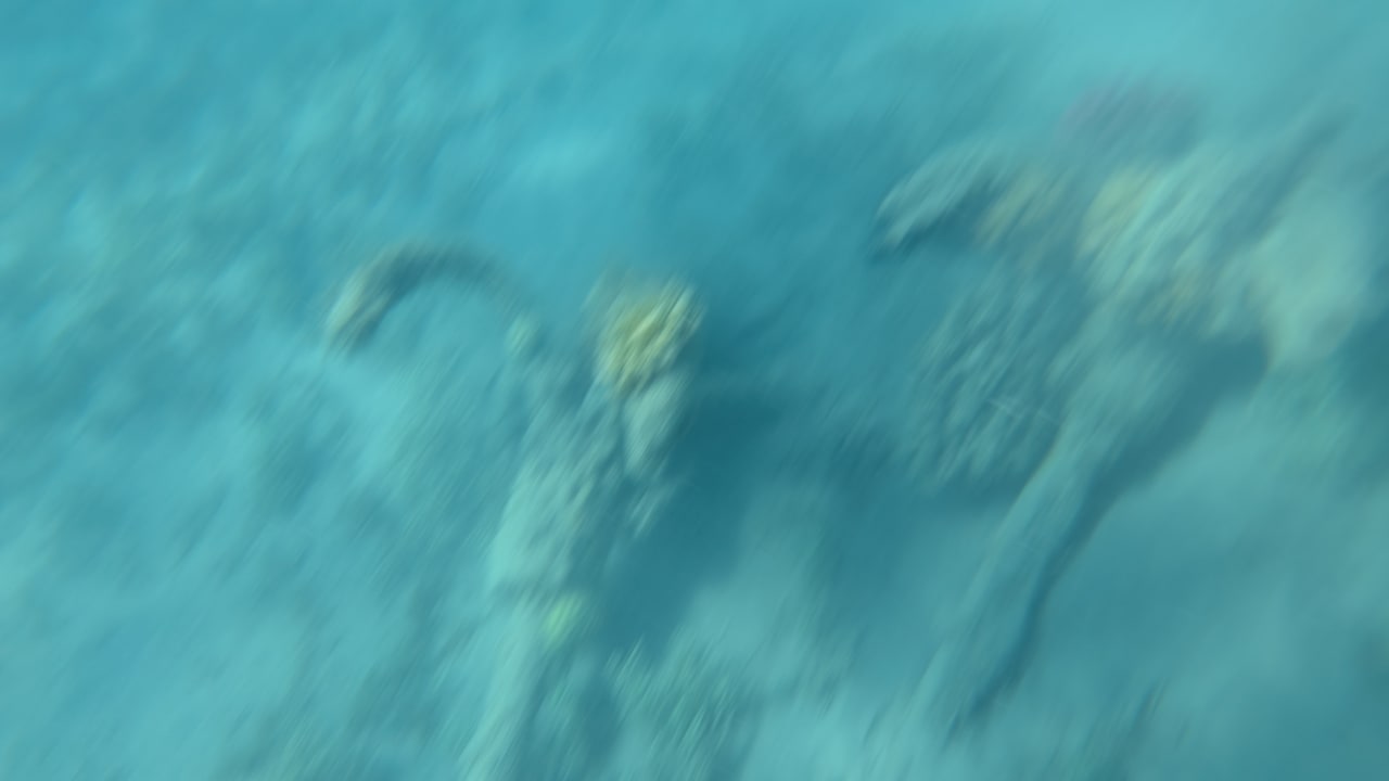 Strand Cleopatra Luxury Resort Makadi Bay