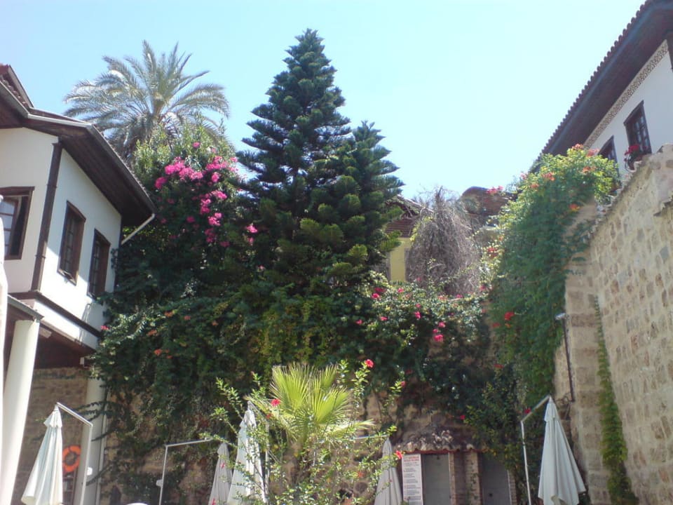 Rund um den Pool Dogan Hotel by Prana Hotels & Resorts