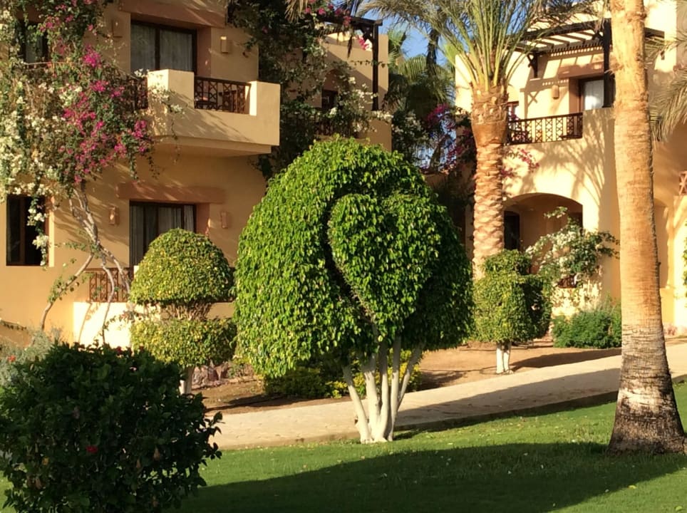 Gärtnerleistung  Steigenberger Coraya Beach - Adults only