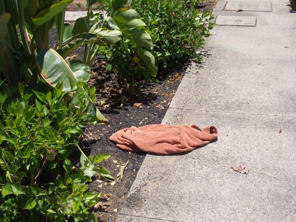 Gehweg3 Hotel Bungalows Duna Flor