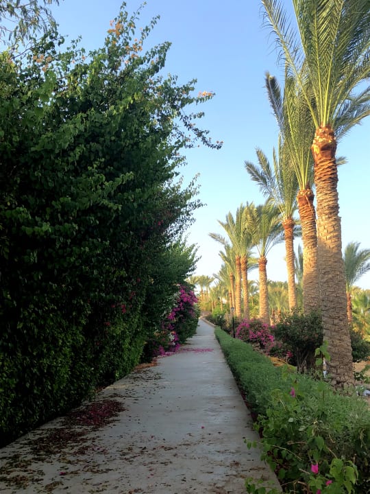 Gartenanlage Brayka Bay Resort