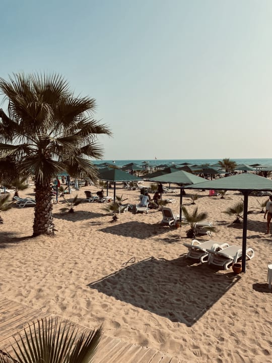 Strand Paloma Oceana