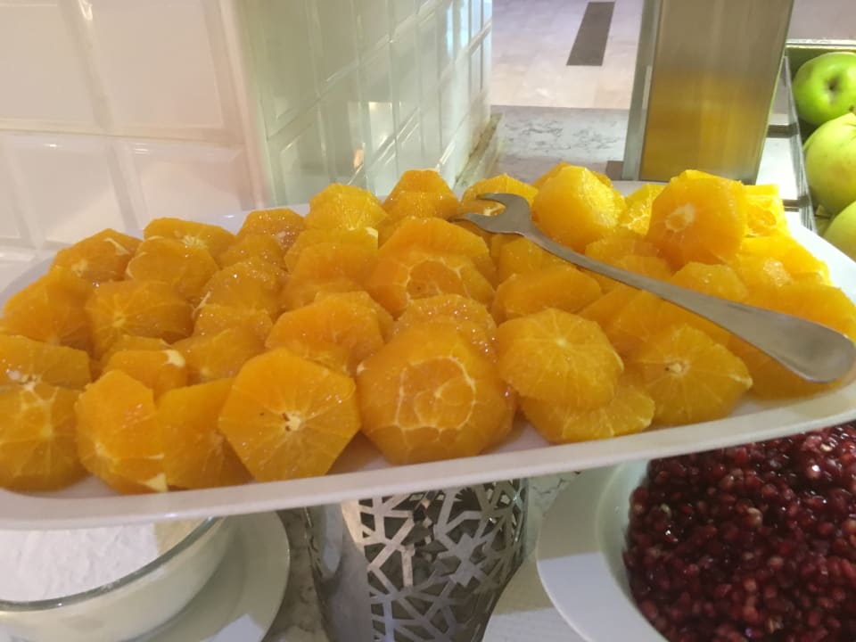 Gastro Acanthus Cennet Barut Collection