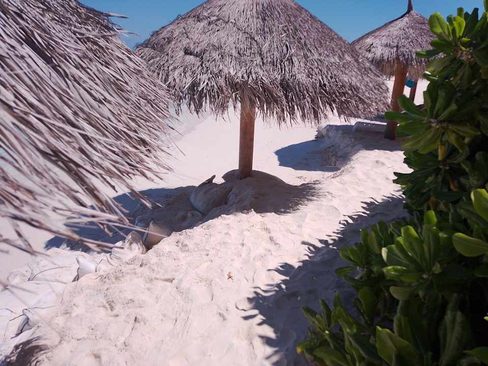 Strand Fihalhohi Maldives