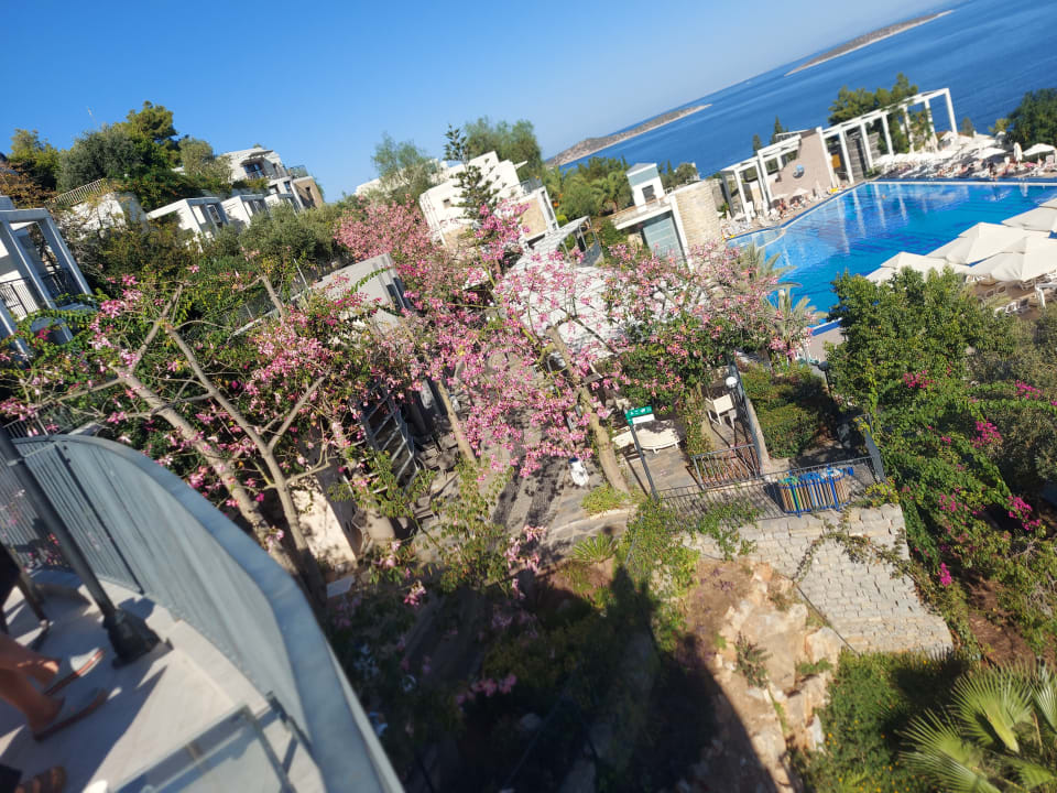Ausblick Duja Bodrum