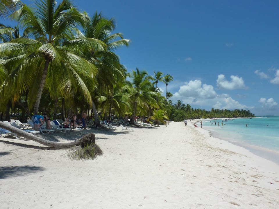 Insel Saona Ausflug Punta Cana Princess All Suites Resort & Spa