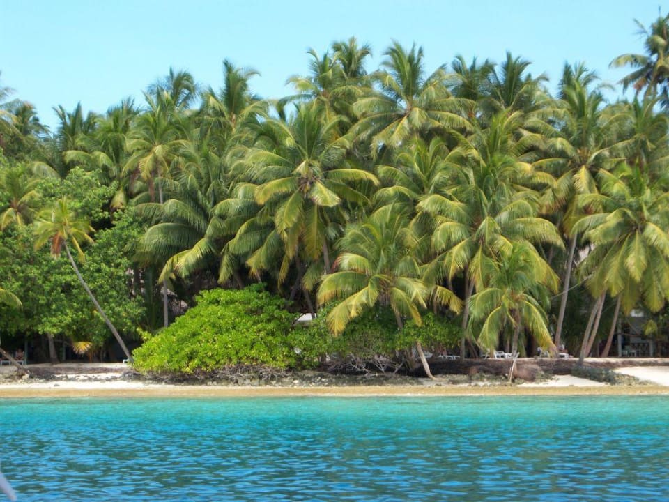 Insel bei Ankunft Fihalhohi Maldives