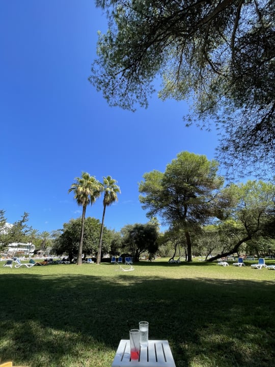 Gartenanlage Hotel Exagon Park