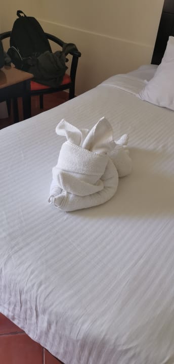 Zimmer Three Corners Sea Beach Resort