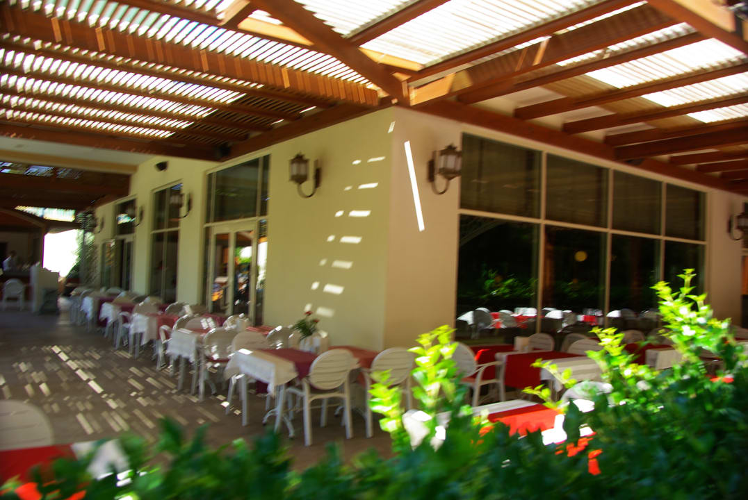 Gastro Well Palace Side