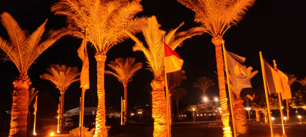 Gartenanlage Desert Rose