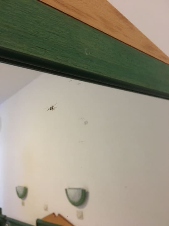 Zimmer Ilios K Village Resort