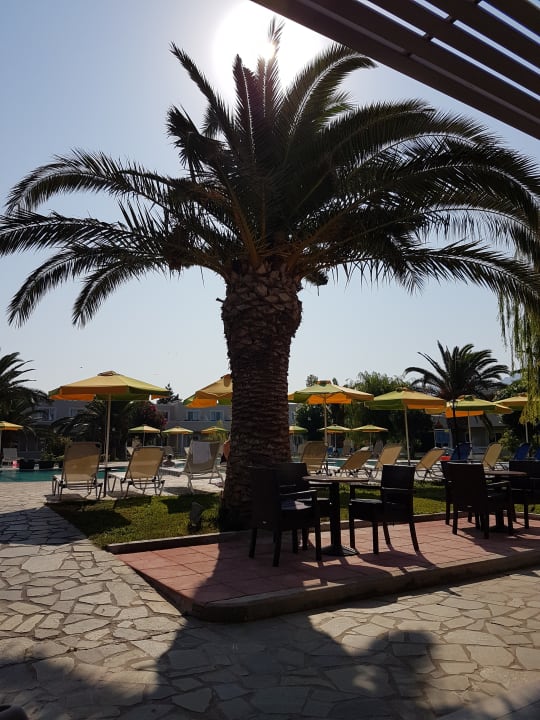 Gartenanlage Hotel Esperia