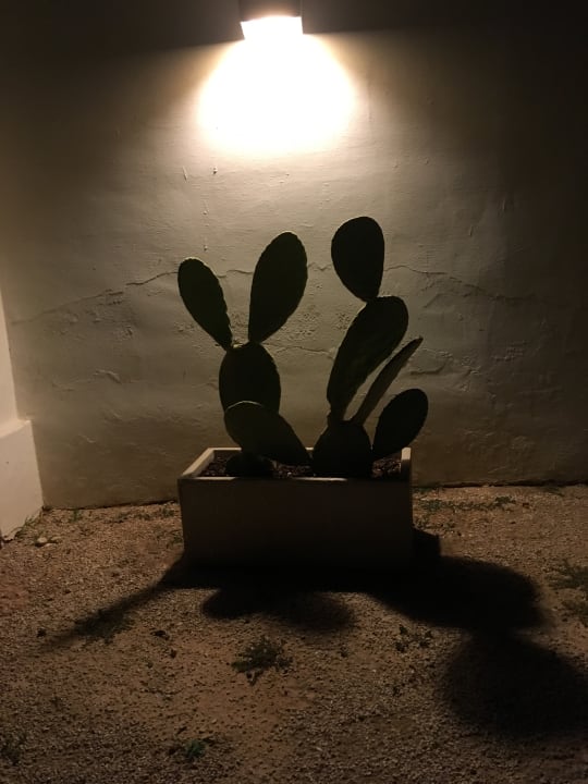 Gartenanlage Hotel Masseria Alchimia Resort