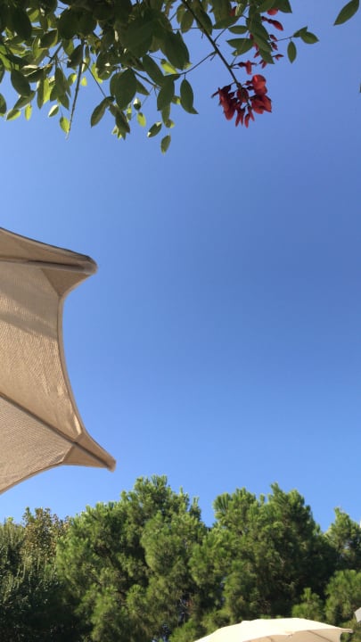 Sonstiges Trendy Side Beach Hotel - Adults only