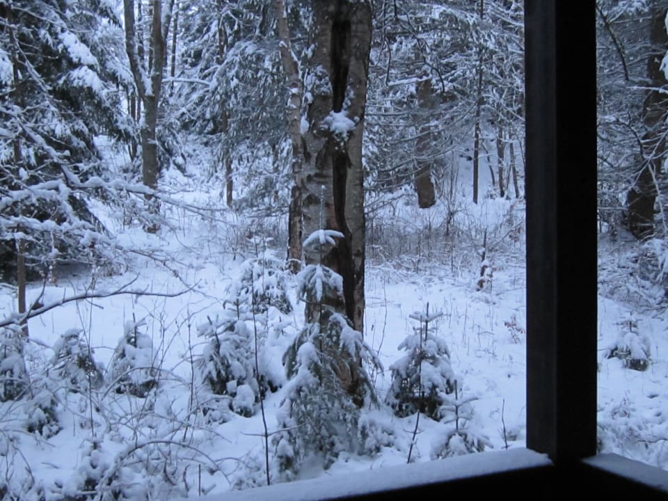 Blick vom Balkon  Relexa Hotel Harz-Wald
