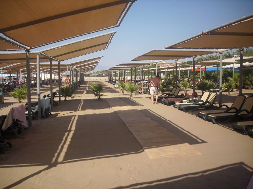 Freie Liegen ohne Ende Royal Wings Hotel