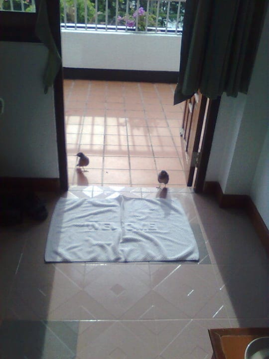 Täglicher Besuch Best Western Phuket Ocean Resort