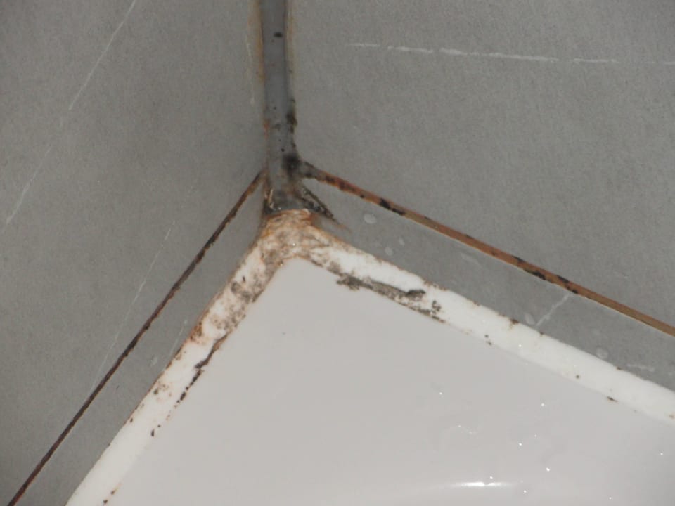  Schimmelpilz im Duschbereich Hotel Minotel de l'Ange