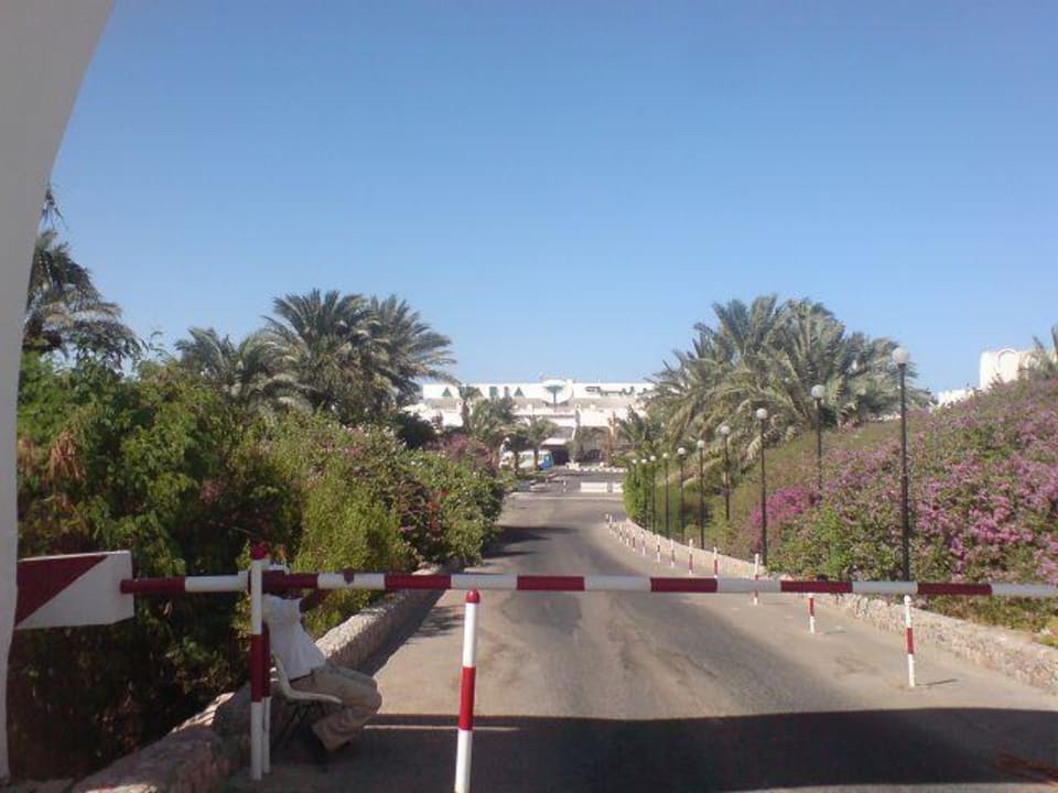 Zufahrt zum Hotel Arabia Azur Resort