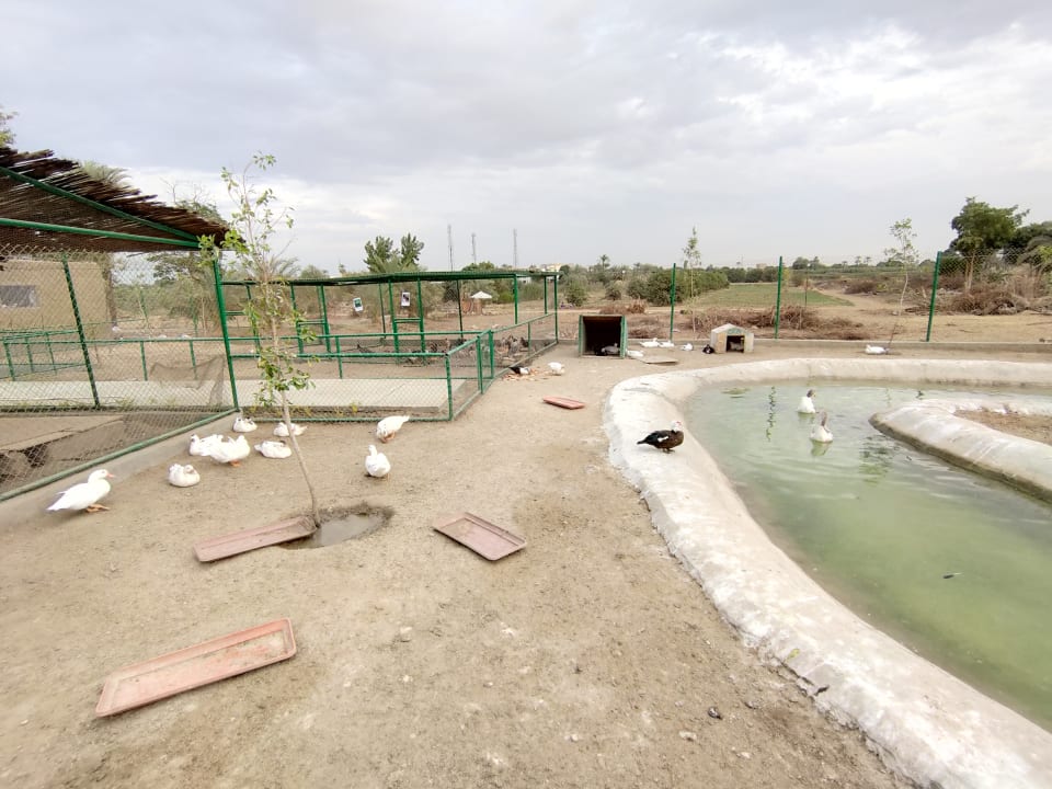 Gartenanlage Jolie Ville Kings Island Luxor