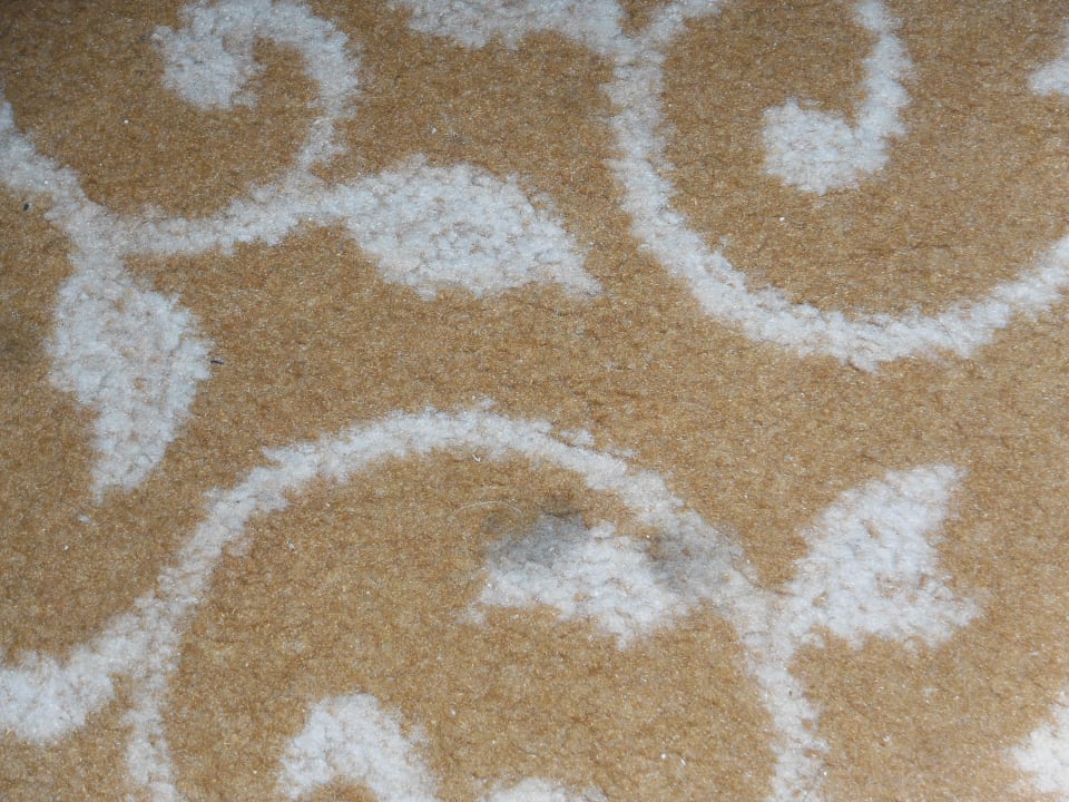 Wie vor trotz Reklamation keine Reinigung Kaya Artemis Resort