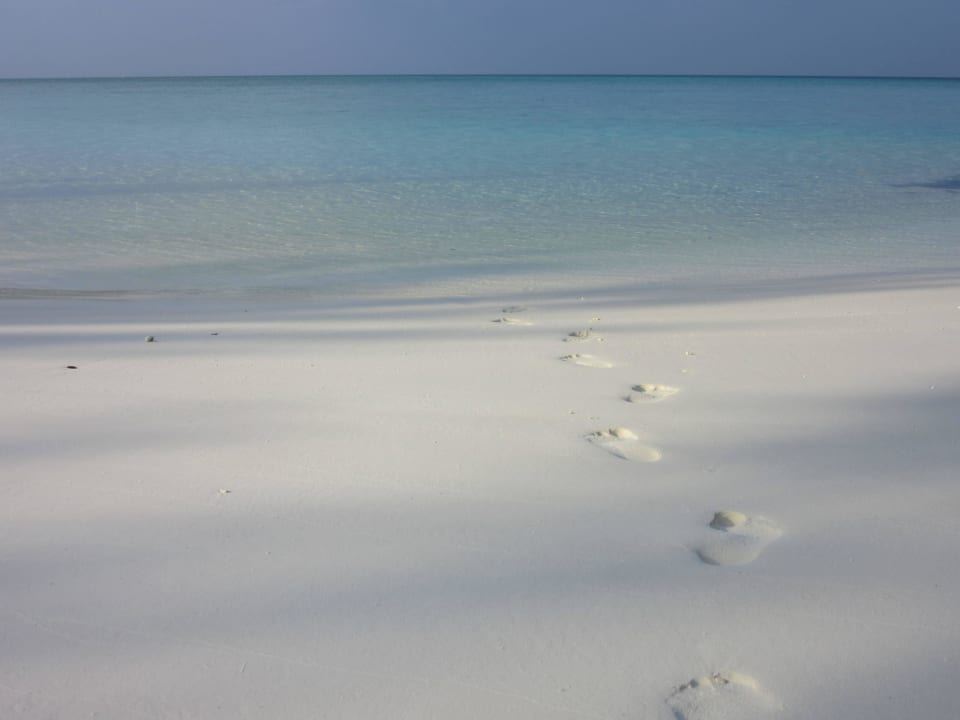 Strand Summer Island Maldives