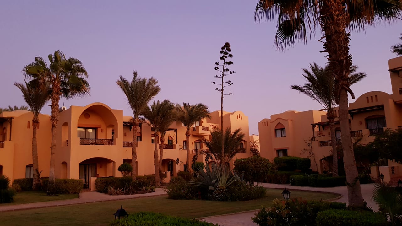 Gartenanlage Steigenberger Coraya Beach - Adults only