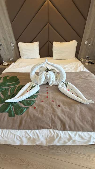 Zimmer Delphin BE Grand